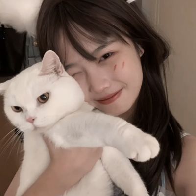 万博manbetx登录手机app下载