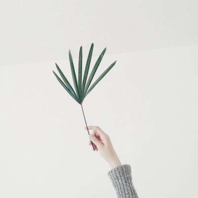 im电竞官网下载手机版